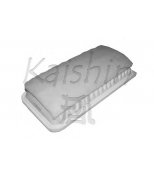 KAISHIN - A10171 - 