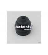 ASHUKI - 08584103 - 