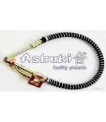 ASHUKI - 11106303 - 