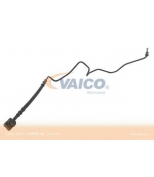 VAICO - V101905 - 