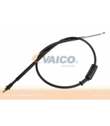 VAICO - V2430061 - 