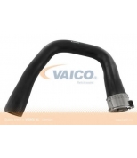 VAICO - V401361 - 