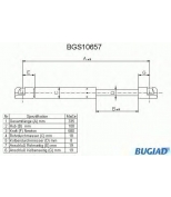 BUGIAD - BGS10657 - 