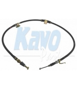 KAVO PARTS - BHC4655 - 