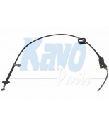 KAVO PARTS - BHC8531 - 