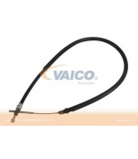 VAICO - V2430019 - 