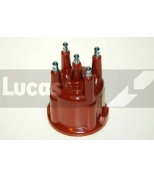 LUCAS - DDB502 - 