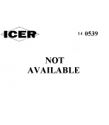 ICER - 140539 - 