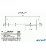 BUGIAD - BGS10311 - 
