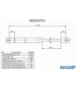 BUGIAD - BGS10731 - 