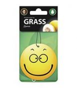 GRASS ST0399 Ароматизатор картонный Smile дыня