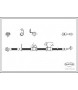 CORTECO - 19032908 - Шланг тормозной BAUDO