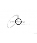 TRUCKTEC 0110220 Кольцо уплотнительное форсунки