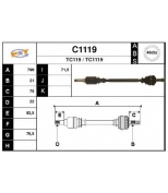 SNRA - C1119 - 