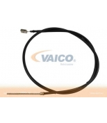 VAICO - V2430022 - 