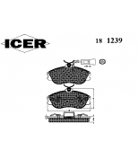 ICER - 181239 - 