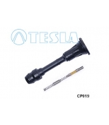 TESLA - CP019 - Наконечник свечной Nissan Primera/X-Trail 2.0 02-