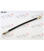 FTE - 290500 - 