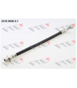 FTE - 251E865E01 - 