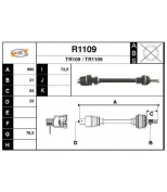 SNRA - R1109 - 