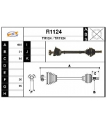 SNRA - R1124 - 