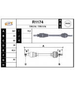 SNRA - R1174 - 