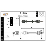 SNRA - R1219 - 