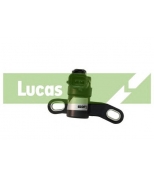 LUCAS - SEB1354 - 