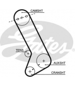 GATES - T071 - Ремень зубчатый T071 124 x 24.7 (8595-16427) CHRYSLER