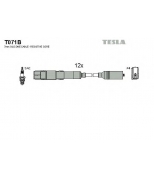 TESLA - T071B - Провода в/в MB W202.203.210.211