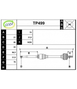 SERA - TP499 - 