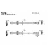 TESLA - T975B - Провода зажигания