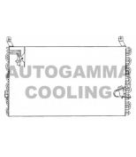 AUTOGAMMA - 101723 - 