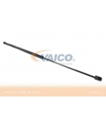 VAICO - V302061 - 