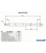 BUGIAD - BGS10339 - 