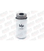 BSG - BSG30130011 - Фильтр топливный