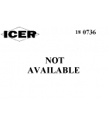 ICER - 180736 - 