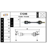 SNRA - C1246 - 