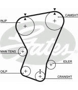 GATES - 5065 - ремень ГРМ