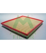 MULLER FILTER - PA3633 - 