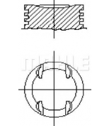 METAL LEVE - P2409 - 