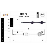 SNRA - R1175 - 