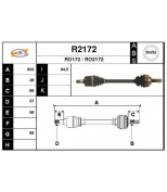 SNRA - R2172 - 