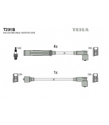 TESLA - T291B - Комплект проводов_Pegeot 205 83-88