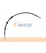 VAICO - V103079 - 