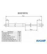 BUGIAD - BGS10019 - 