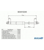 BUGIAD - BGS10243 - 