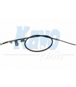 KAVO PARTS - BHC6559 - 