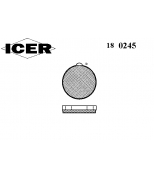 ICER - 180245 - 