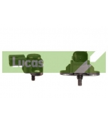 LUCAS - SEB1543 - 
